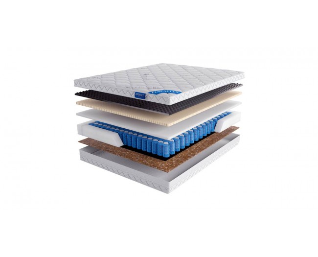 Inter Active фото