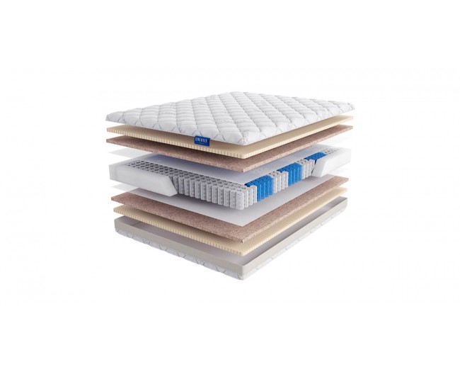 Massimo Plus фото