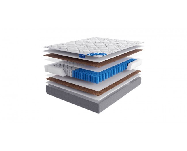 Primula Lux фото