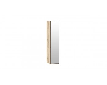Шкаф-пенал Infinity 1Д 45х60 с м