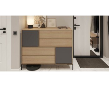 Комод Лэмб 2Д4Я 1200