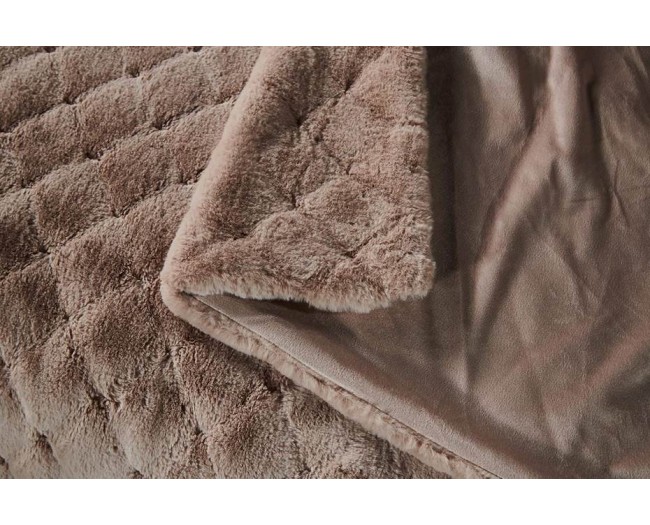 Бернард фото