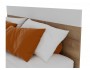 Кровать "Диана" 1600 с ящиком (дуб золотой/белый) от производителя