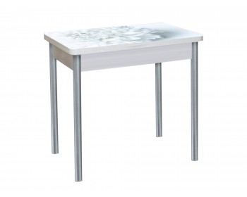 Стол обеденный поворотно раскладной фотопечать БРОНКС / бетон белый Цветы 018 / опора круглая серебристый металлик